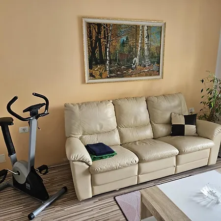 Apartma Mahnic *