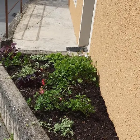 Daire Apartma Mahnic