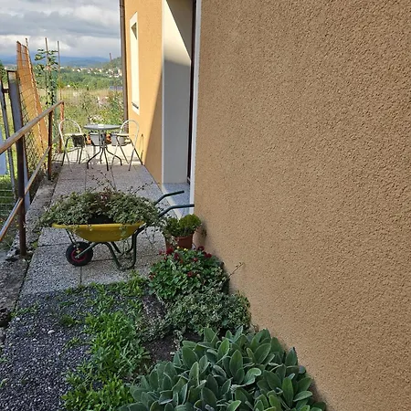 Apartma Mahnic Apartman *